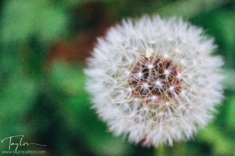 A Letter to the Person Leaving Home for the First Time