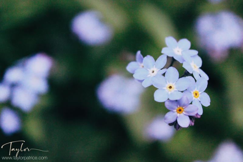 A Substitute Teacher’s Protest Against Self Doubt