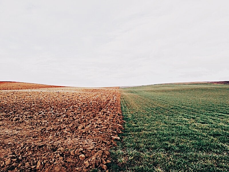 Poverty Across Culture & Country: A Letter Home